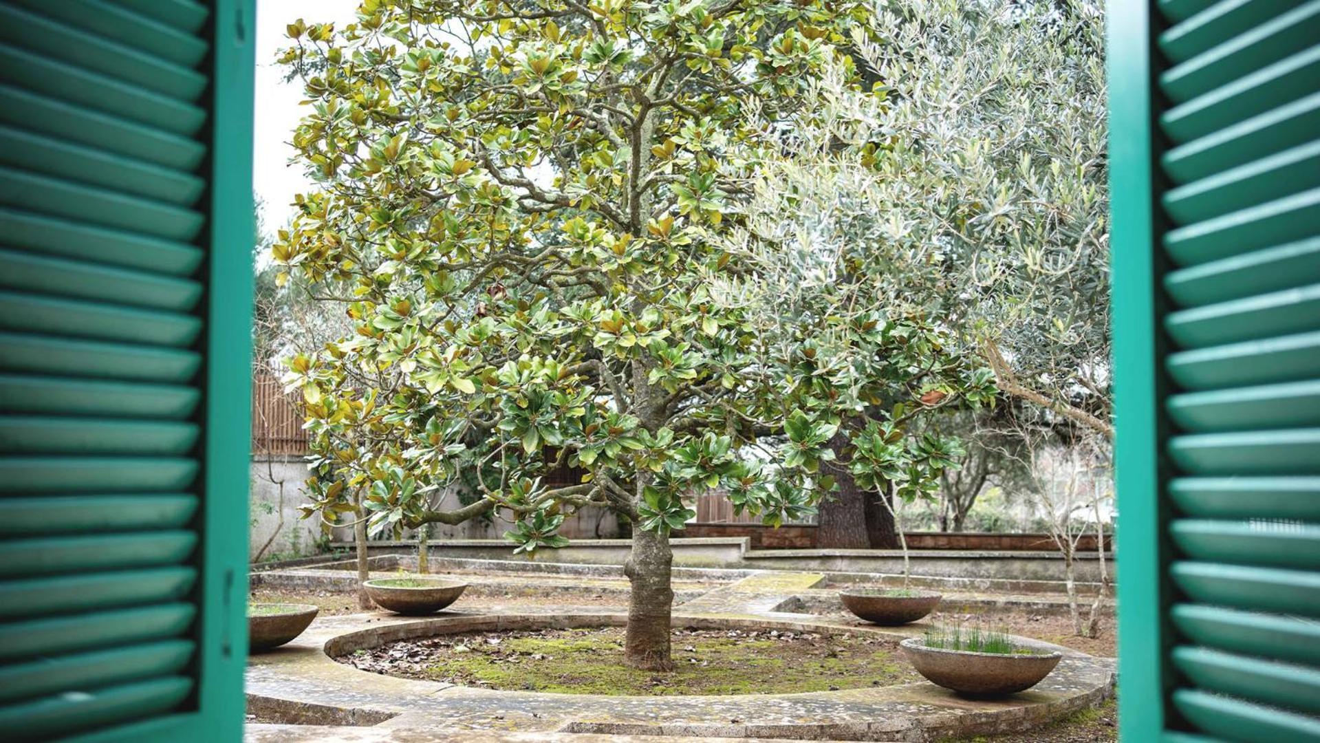 Villa Borgo Lucia Selva Di Fasano Exterior foto
